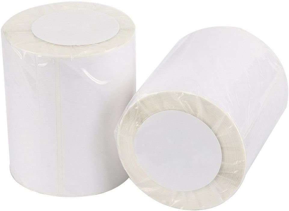 FungLam 2 Rolls 4x6 Direct Thermal Shipping Labels, 250 Labels/Roll, 1'' Core, Compatible Zebra 2844 ZP-450 ZP-500 ZP-505