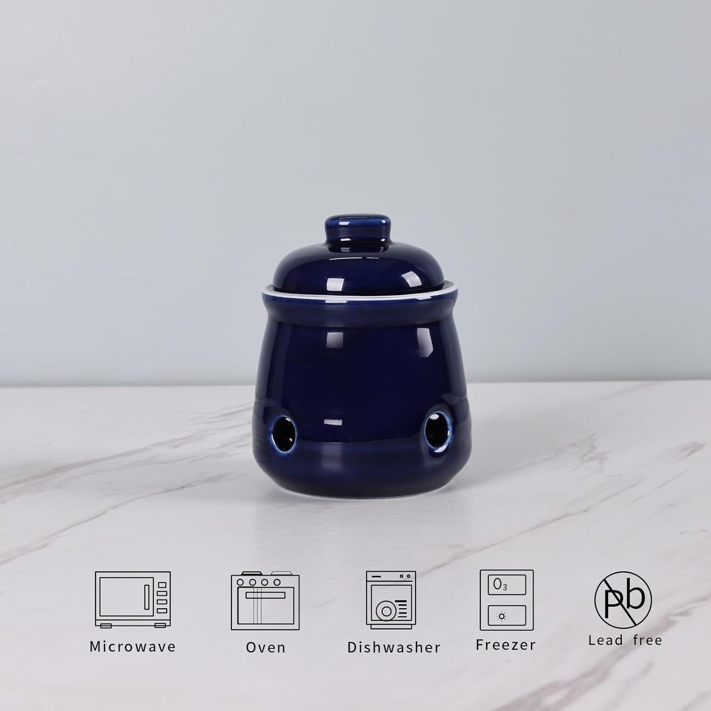 HAOTOP Ceramic Mini Garlic Keeper with Lid, Garlic Container Saver for Countertop, Keep Your Garlic Cloves Fresh (Navy)