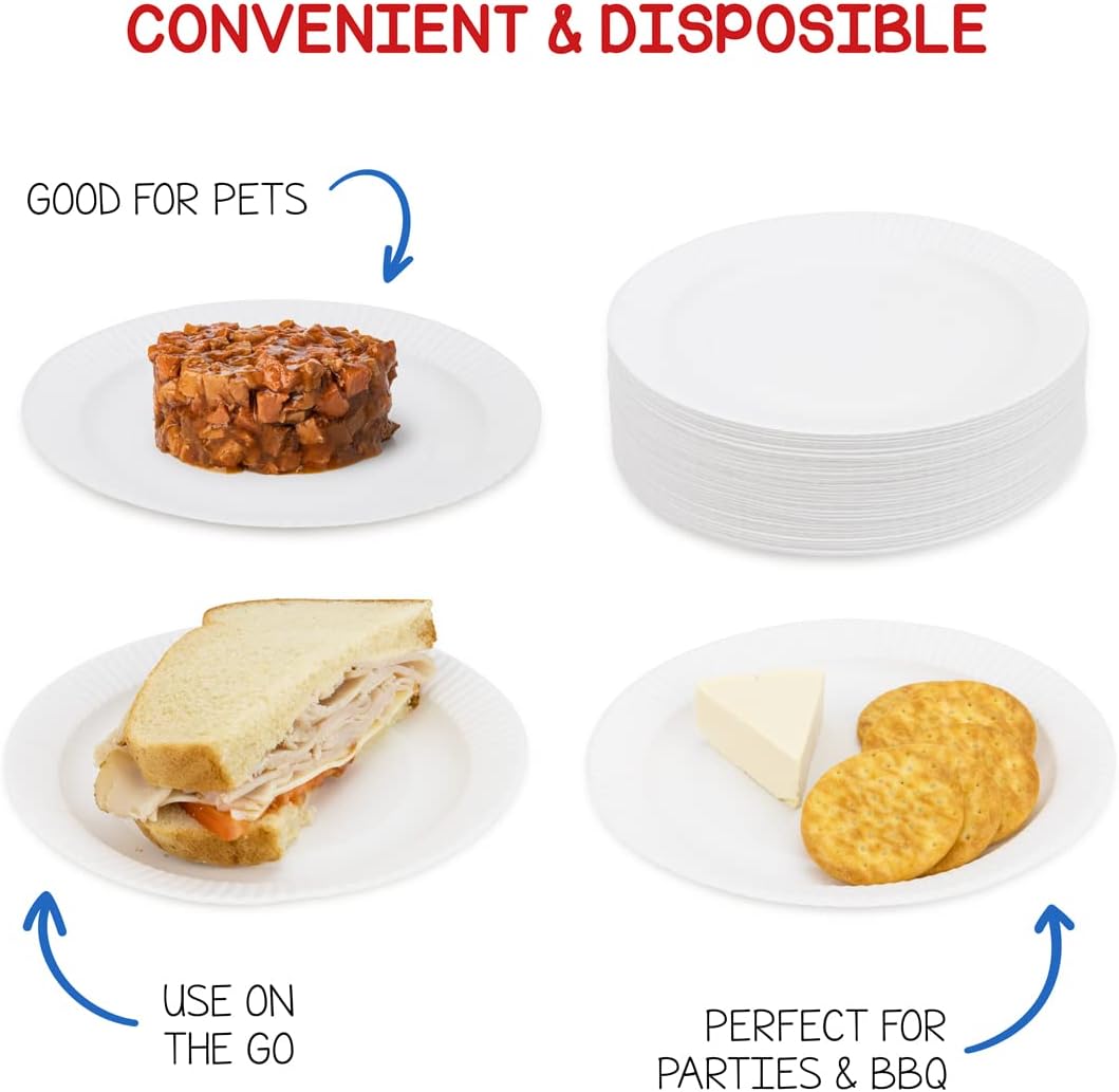 Hygloss Products Paper Plates - ‎Uncoated White Plate - Use for Foodware, Events, Activities, Crafts Projects and More - Environmentally Friendly - Recyclable and Disposable - 6-Inches - 500 Pack