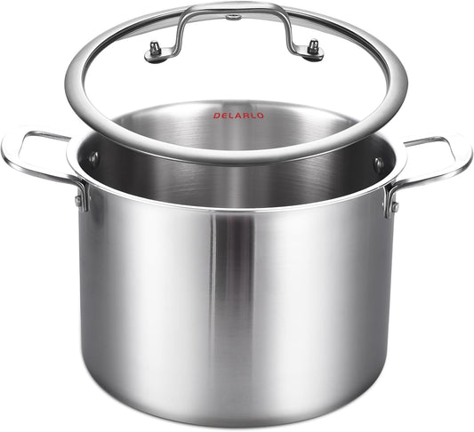 DELARLO Tri-ply Stainless Steel 20QT Stock Pot, Compatible with All Stoves Up to 600℉, 18/10 Induction Big Cooking Pot with Lid, Fast & Even Heating, Durable Large Soup Pot