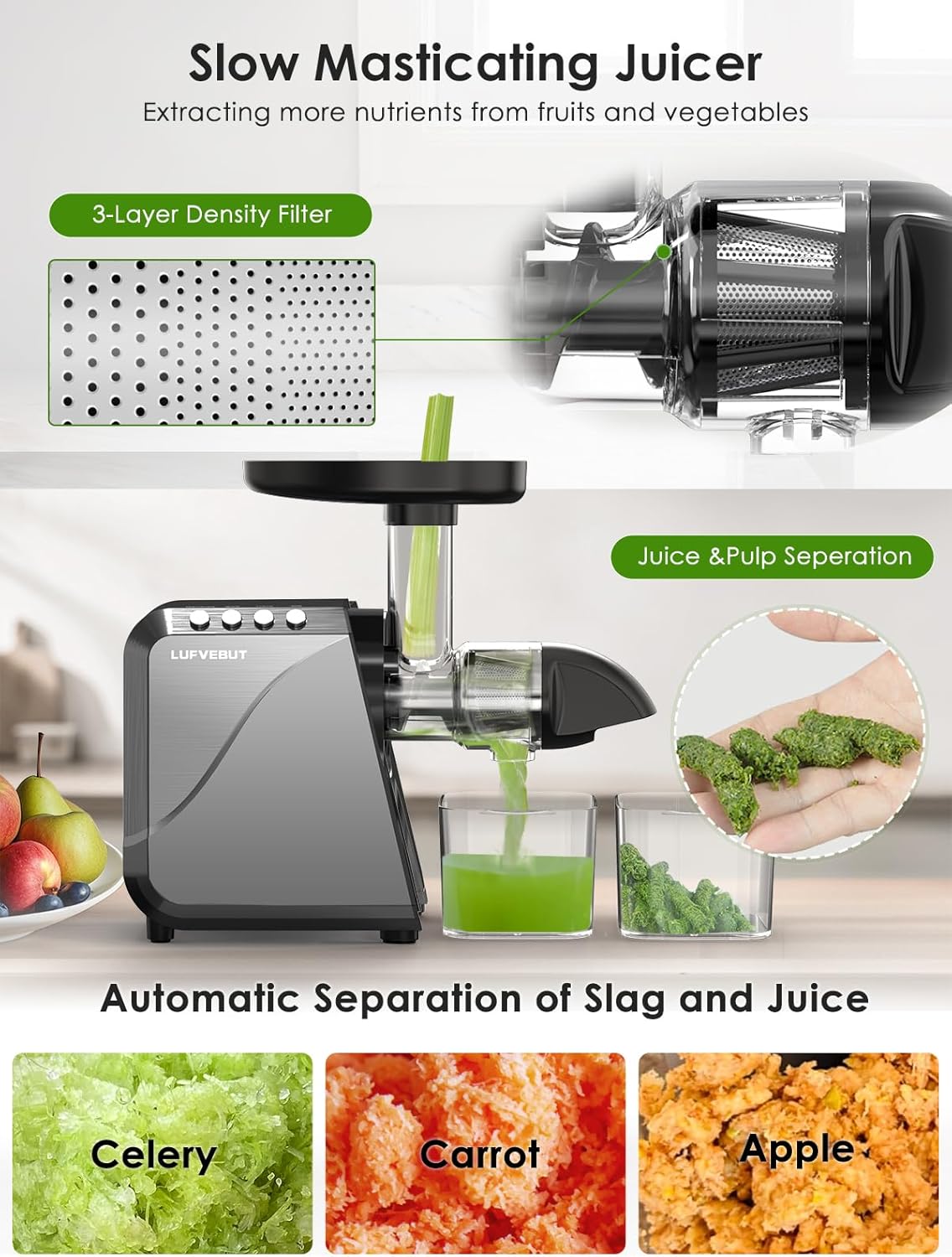 Cold Press Juicer for Celery Carrot Orange- Soft/Hard Fruits Vegetables, 250W Slow Juicer Machines BPA-Free,Reverse Function, Easy to Clean, with Big Cup,Pulp Container,Cleaning Brush