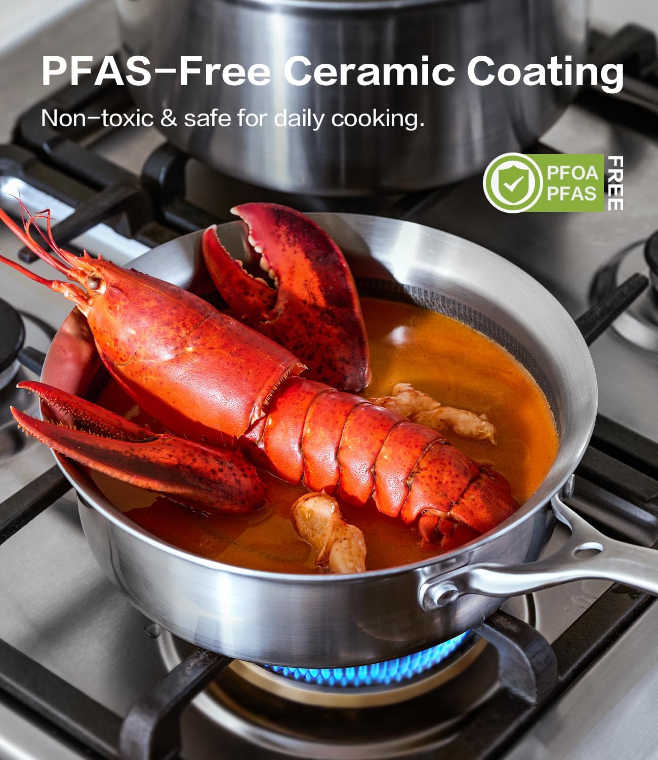 Non Stick Saucier with Lid Saucepan Nonstick 5-Ply Stainless Steel Sauce Pans 3 Quart Small Pot for Sauce Induction Compatible, Oven Dishwasher Safe, Works on All Stovetops Non Toxic, PTFE & PFOA Free