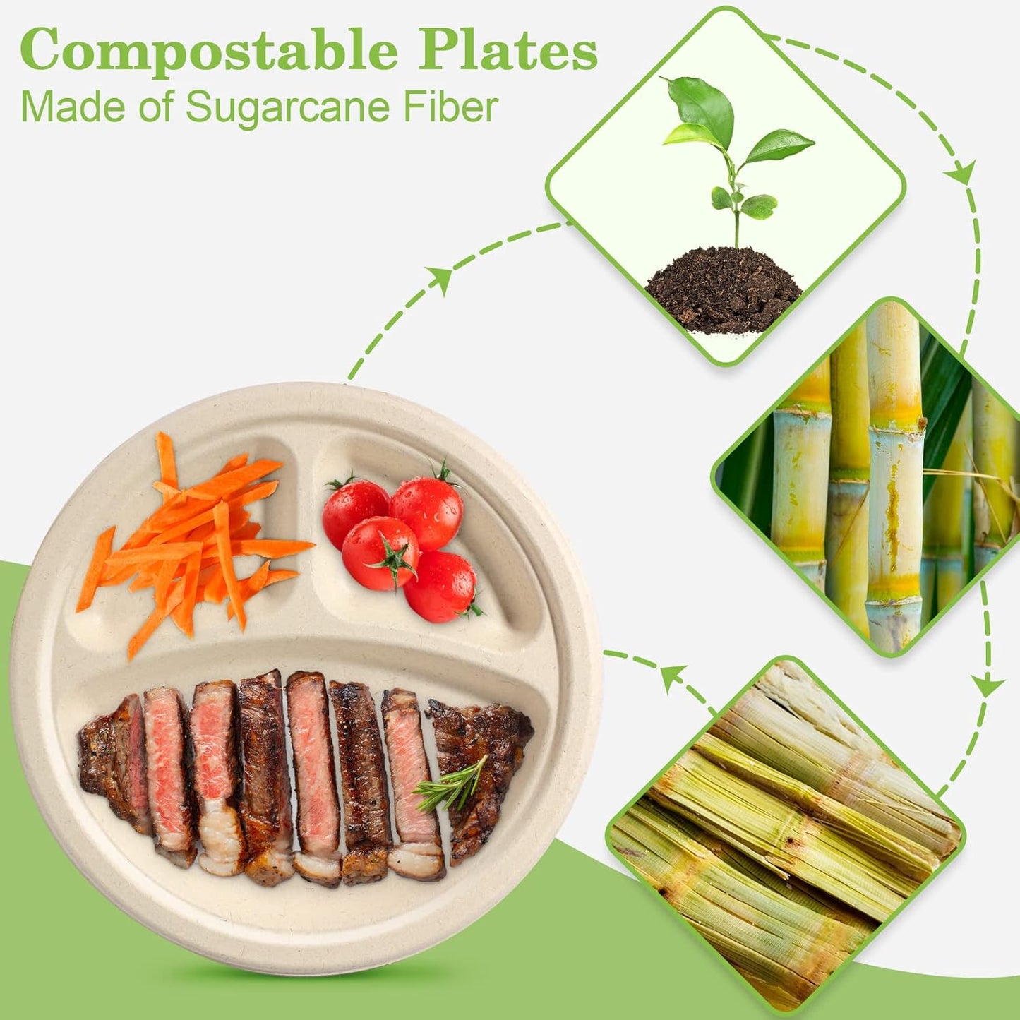 9 inch 3 Compartment Paper Plates - 50 Pack, Heavy Duty, Divided, Compostable