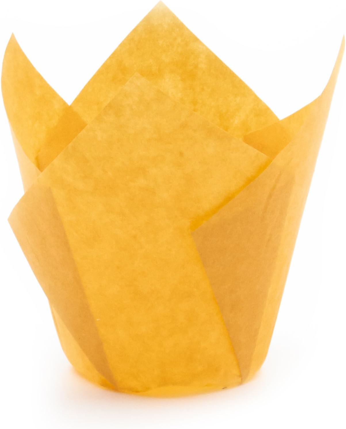 Orange Tulip Baking Cups, Mini Size, Pack of 50