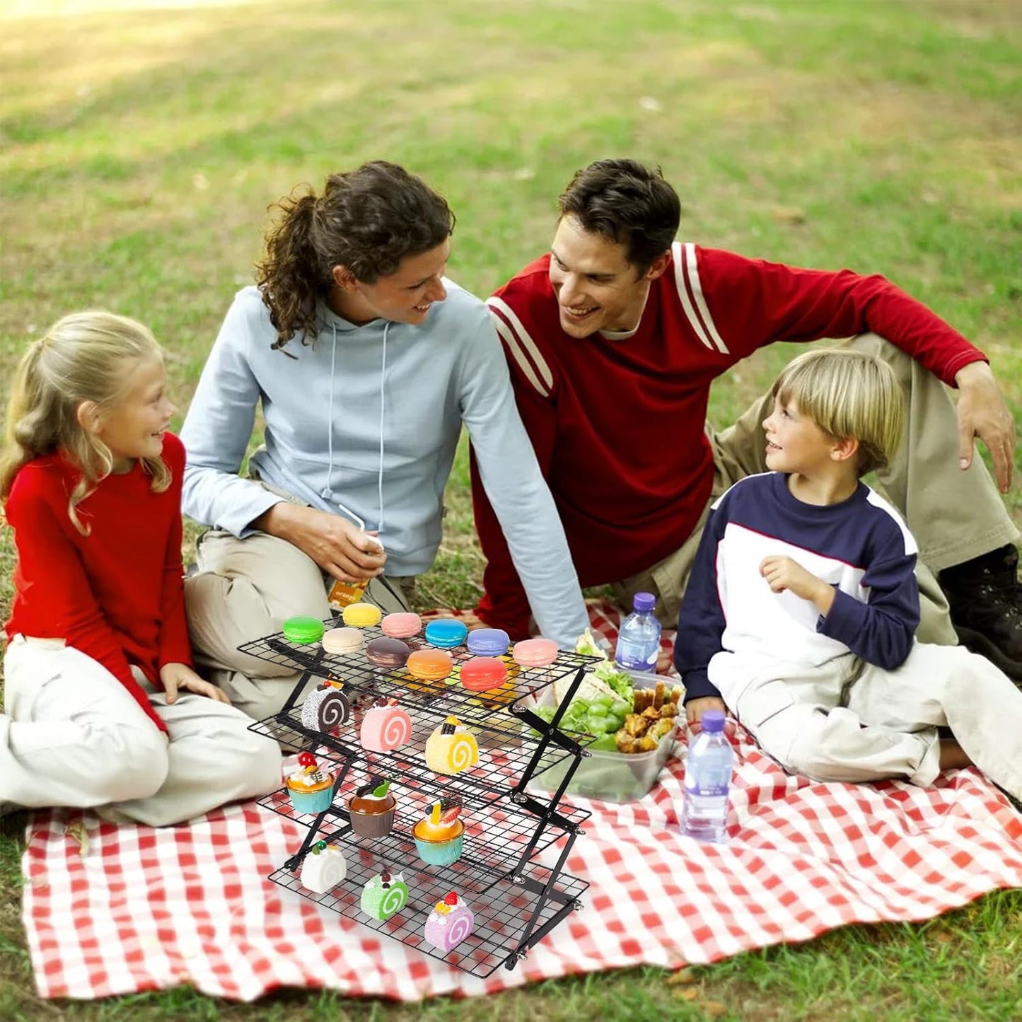 ShellKingdom 4 Tier Collapsible Cooling Rack, Outdoor Camping Picnic Shelf, Wire Cooling Rack for Baking, Cookies, Cake, Roasting, Grilling, Drying Rack - Black