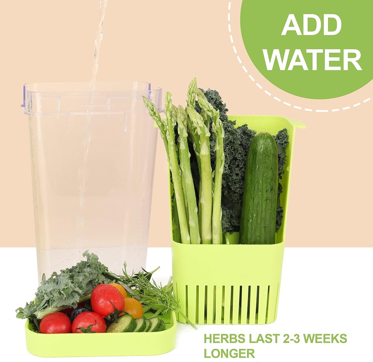 Herb Keeper, BPA-Free Plastic Herb Saver with an Inner Basket for Cilantro, Mint, Parsley, and Asparagus, Keeps Fresh Herbs for 3 Times Longer,1Pcs, Green