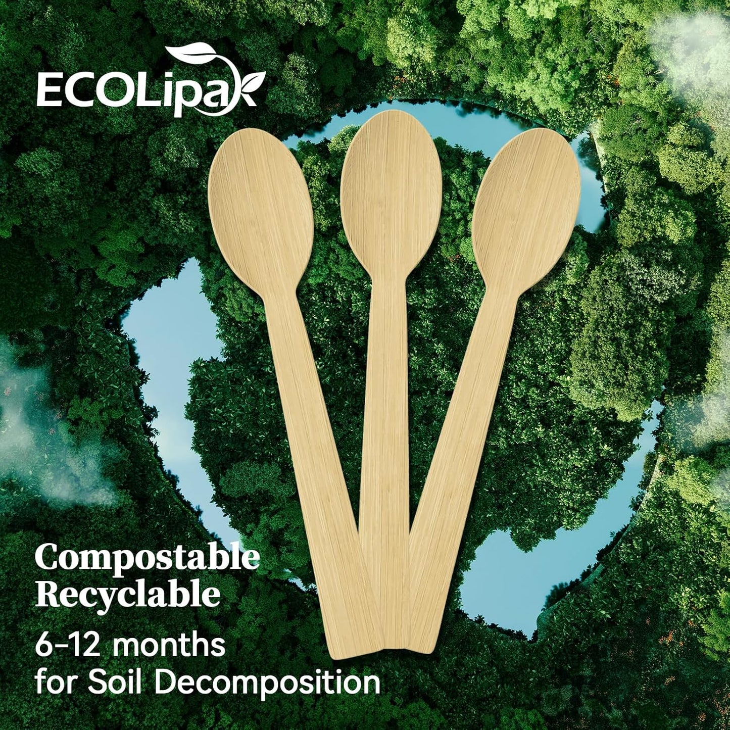 ECOLipak 300 Count Bamboo Spoons Disposable, 6.7 Inch No Splinters Heavy Duty Bamboo Disposable Compostable Spoons for Party, Wedding, Camping, Traveling, Family Dinners, Large Events